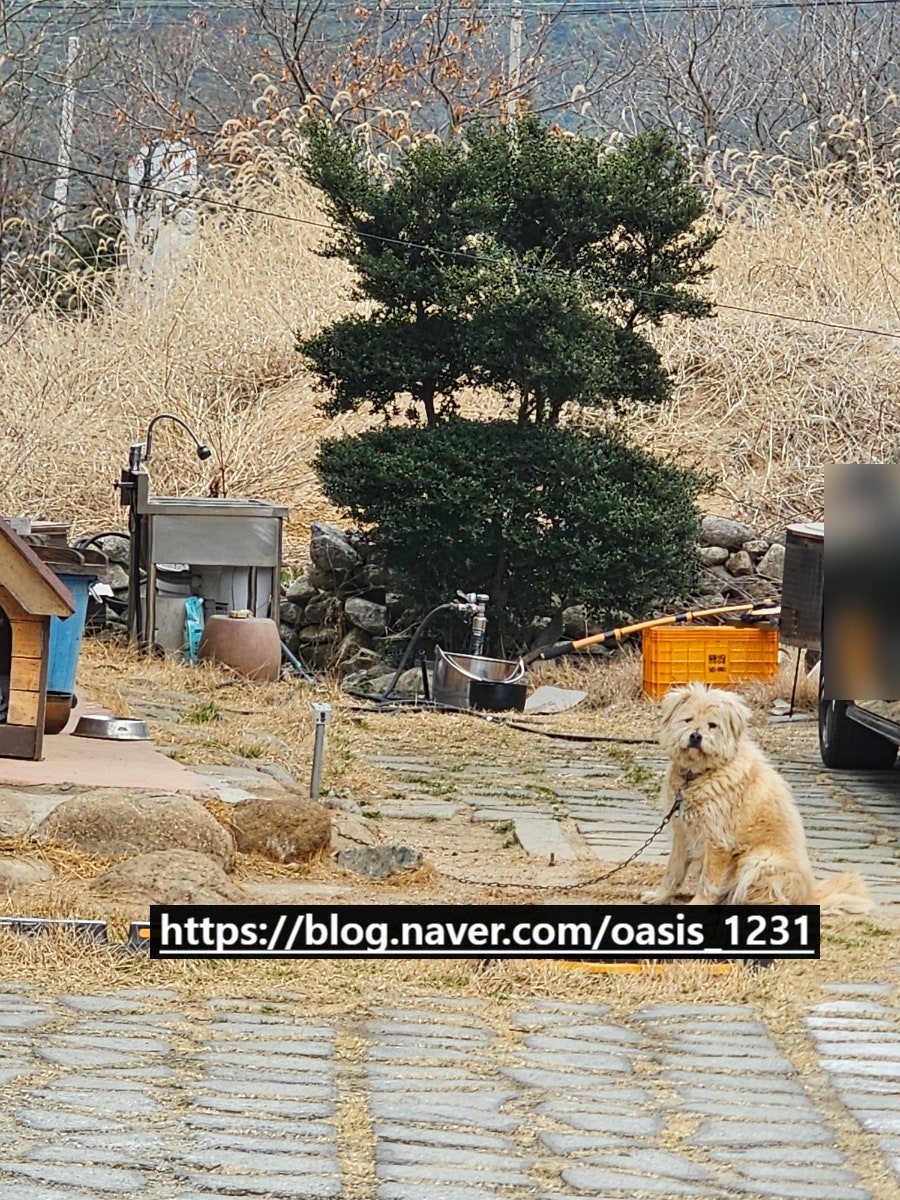 수월담 사진 6