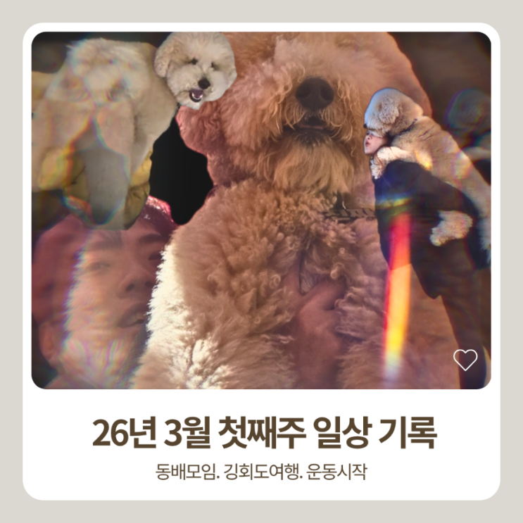  3월 첫째주 일상기록. 강화도 여행코스 애견동반 그리고 운동시작!