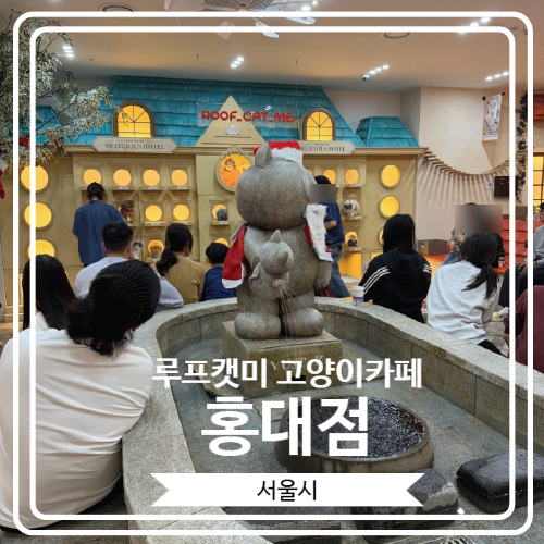  [루프캣미 고양이카페 홍대점] 귀여운 고양이들과 함께 홍대 실내데이트로 좋은 곳