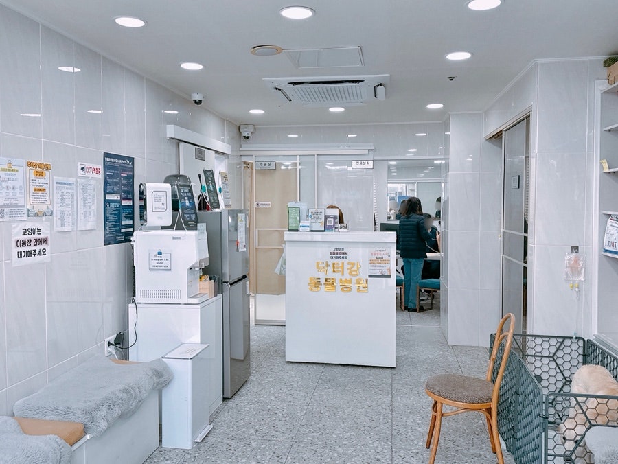 닥터강 동물병원 사진 4