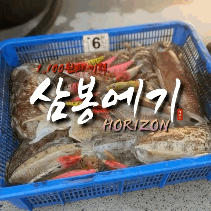  호라이즌 삼봉에기로 가성비 좋은 심해 갑오징어 준비