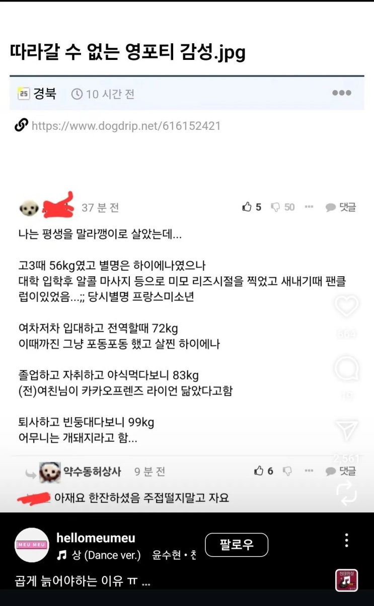  따라갈 수 없는 영포티 감성