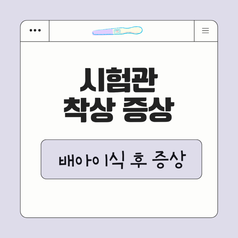 시험관 착상증상 / 배아이식 후 증상 정리