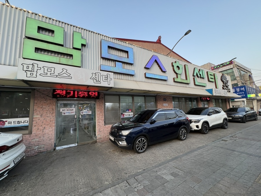 맘모스회센타 21호 사진 1