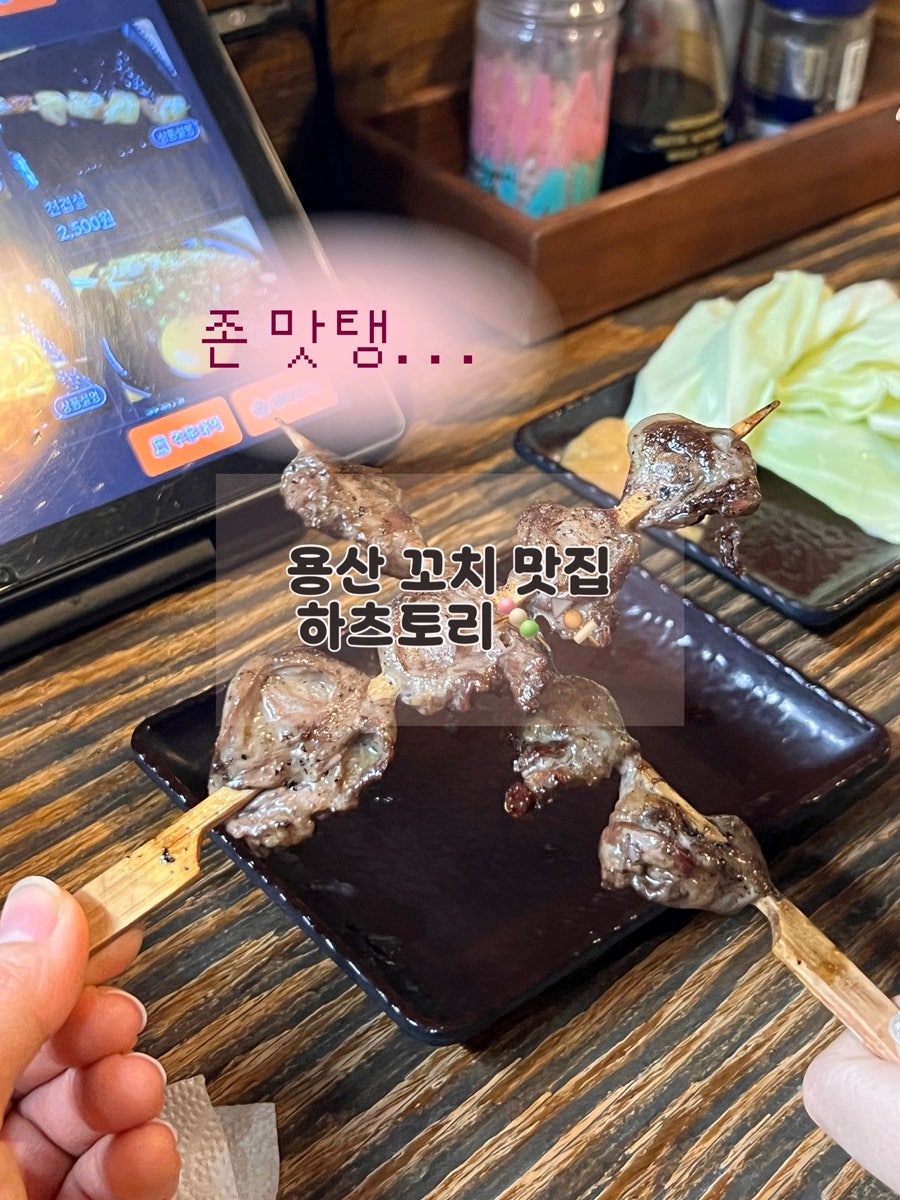 하츠토리 사진 1