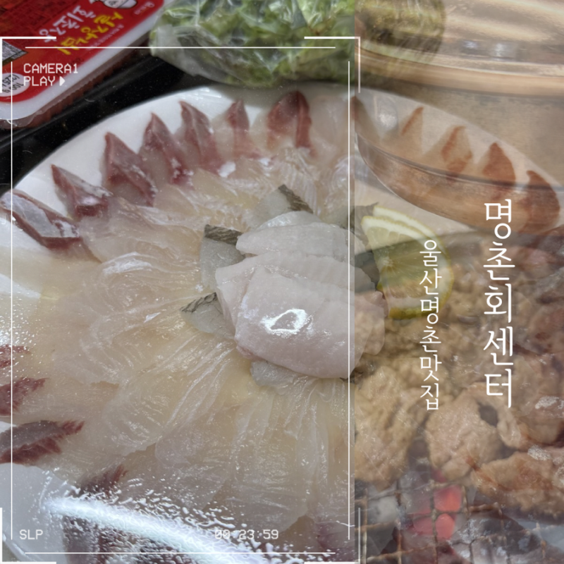울산 명촌 회 맛집 추천 명촌회센터 (구 두리두리해산물포차)