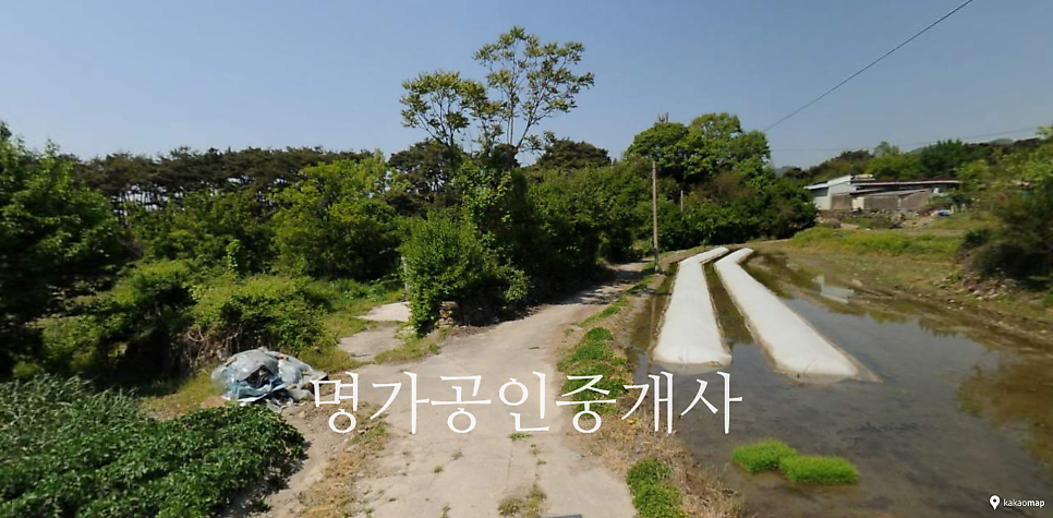 장안제 사진 4