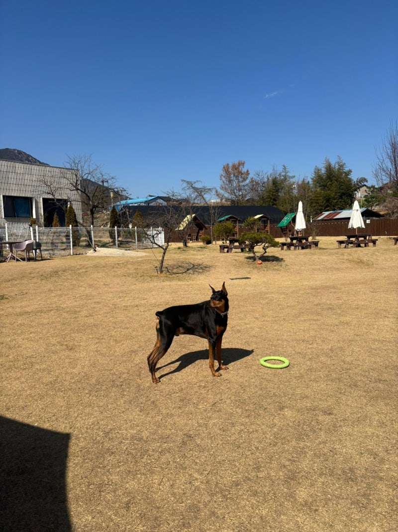 사진 7