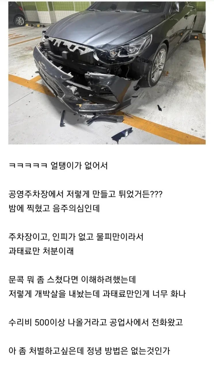  현재 난리난 물피도주