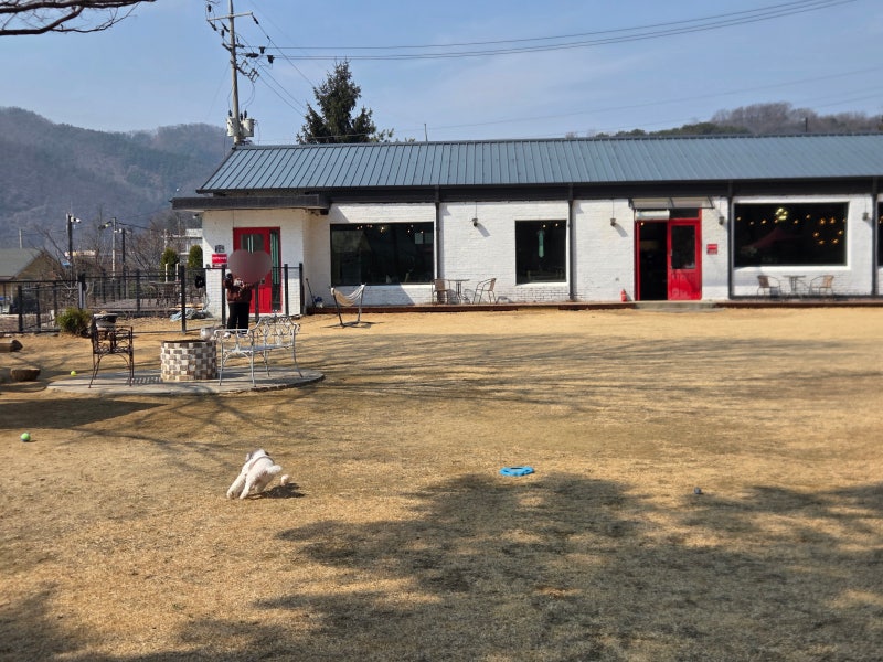 사진 2