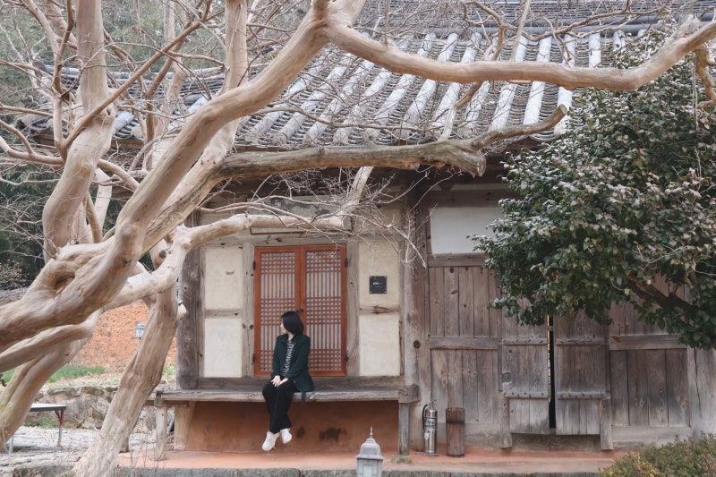 사진 5
