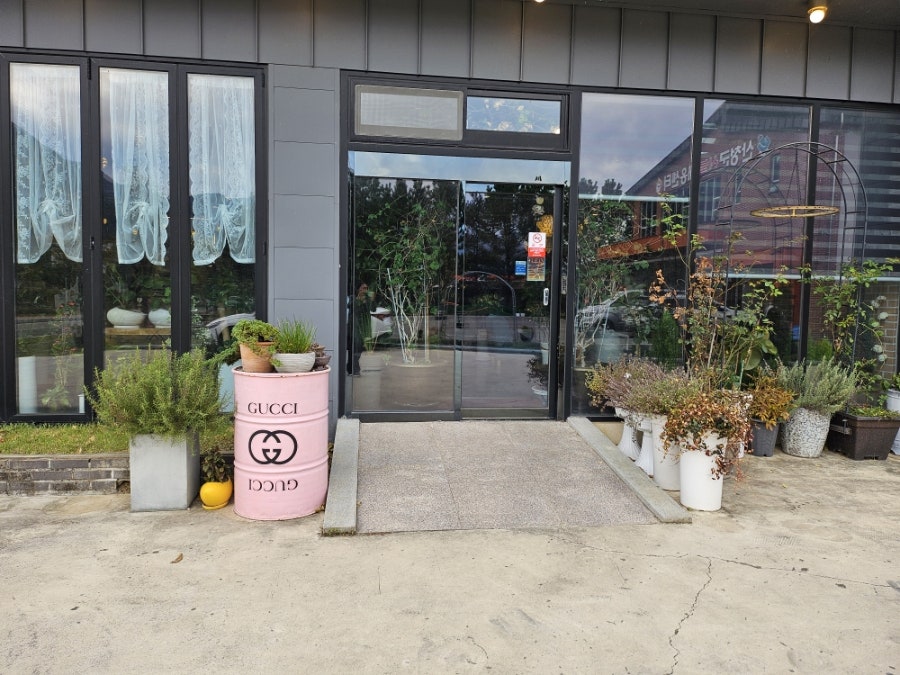 제라늄 사진 4