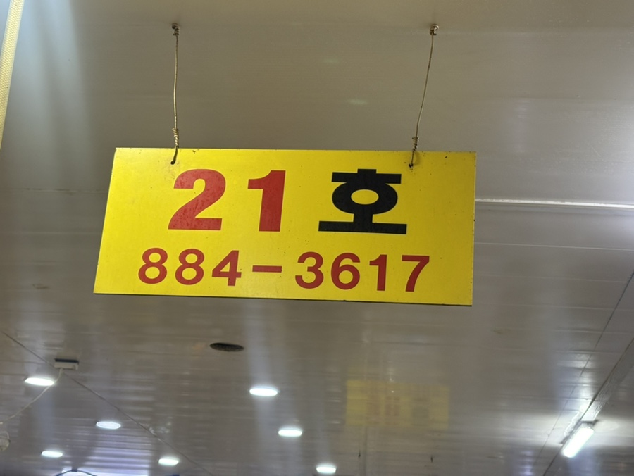 맘모스회센타 21호 사진 2
