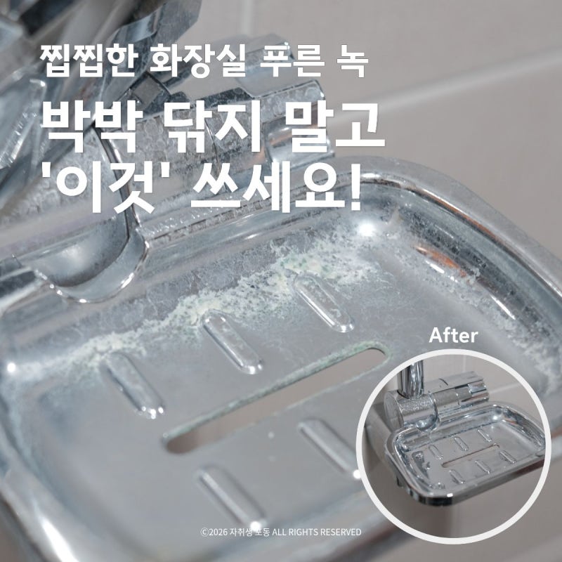 화장실 녹제거 찝찝한 푸른 녹 없애는 법