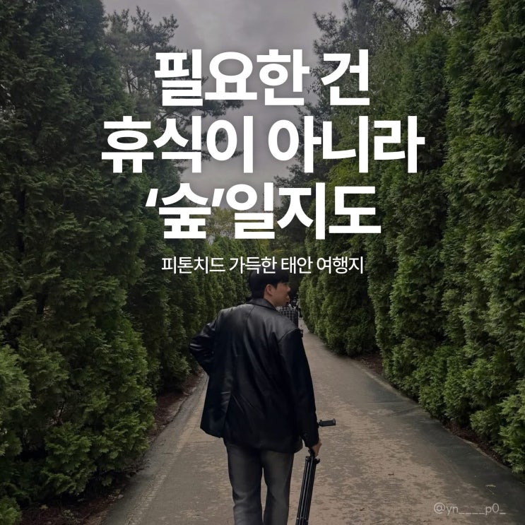 충남 가볼만한곳 태안의 초록빛 명소들 | 충남도청페이스북