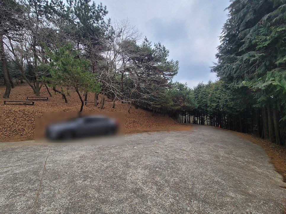 활성산성 편백숲보부상길 부춘길 사진 5