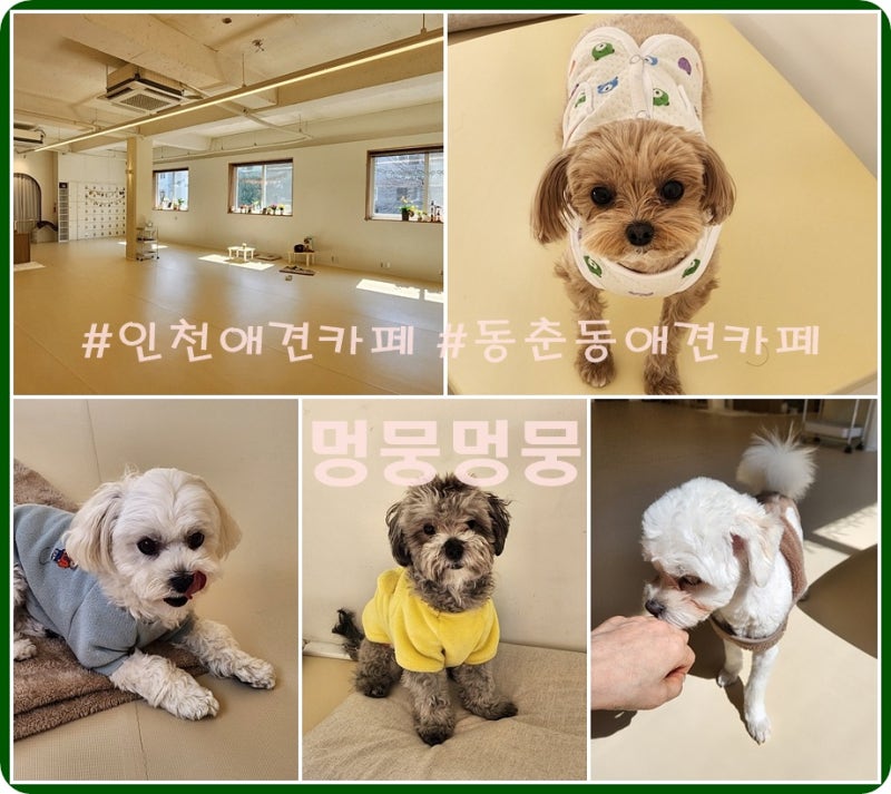멍뭉멍뭉