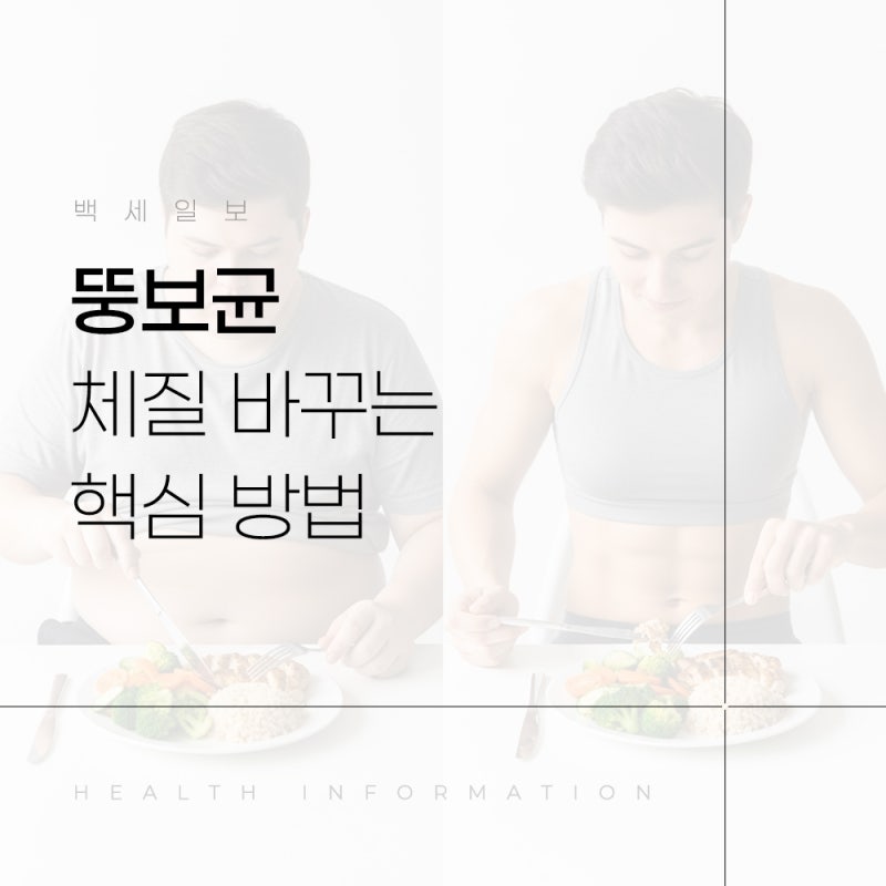 뚱보균 없애는 방법 다이어트 체질 바꾸는 핵심 방법
