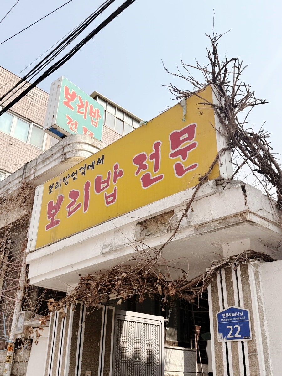 보리밥언덕에서 사진 3