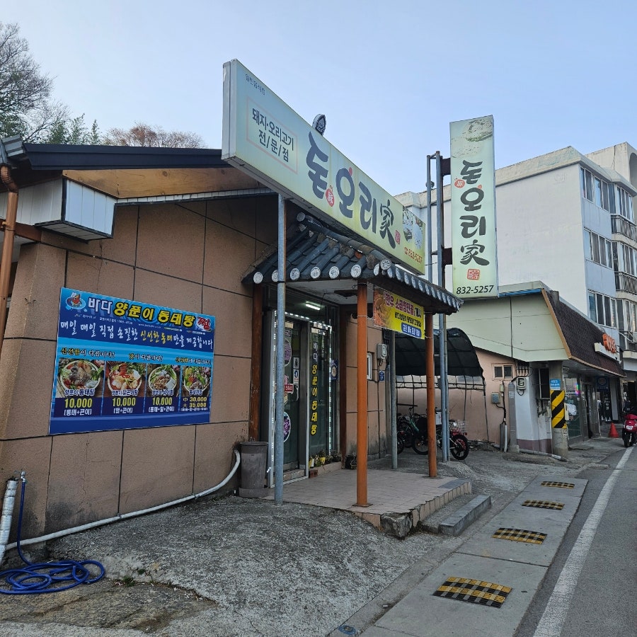 돈오리가 사진 2