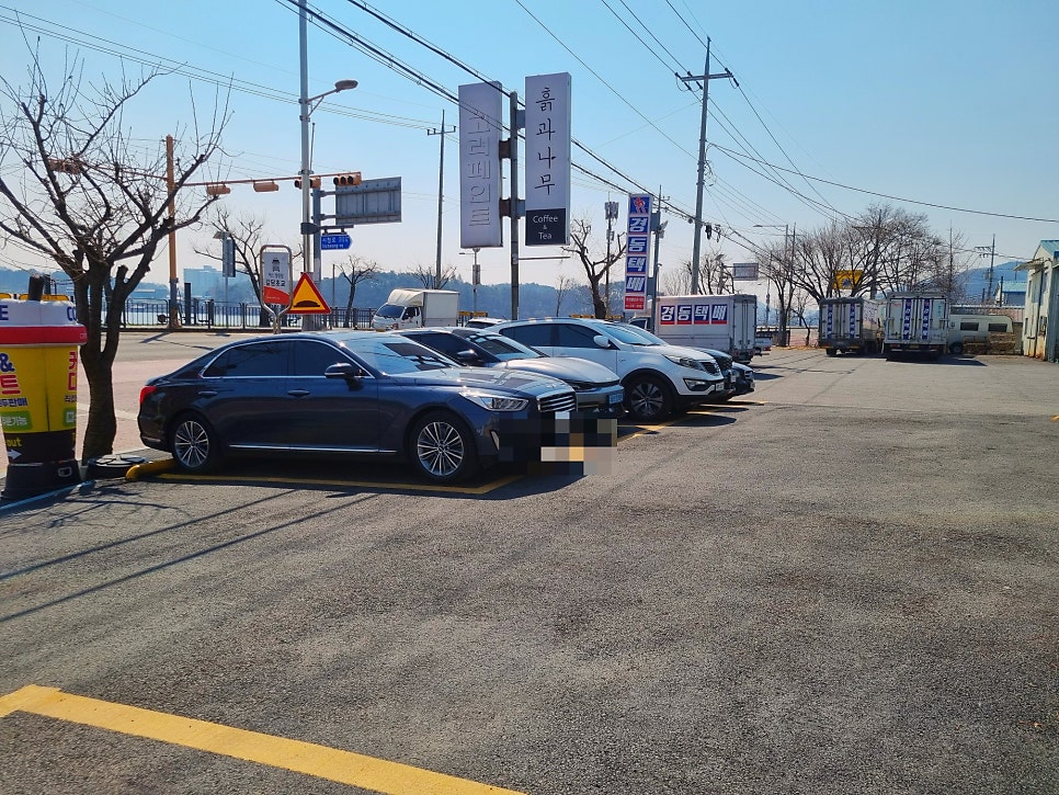 흙과나무 사진 2