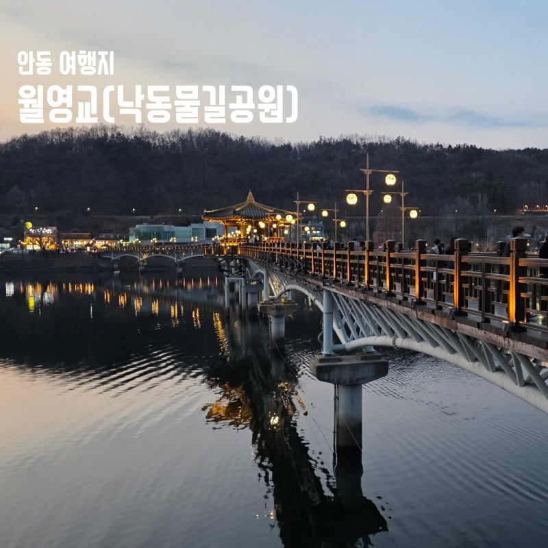 안동 여행지 야경 명소 벚꽃 월영교 낙동물길공원