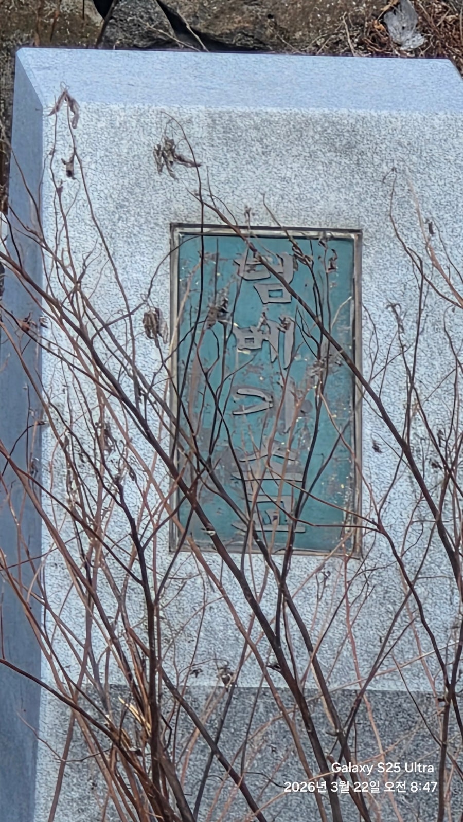 해촌바지락 사진 5