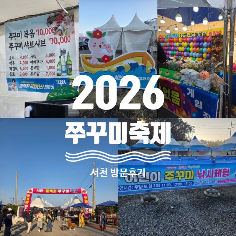 2026 서천 쭈꾸미 축제 방문후기_가격정보,꿀팁 포함