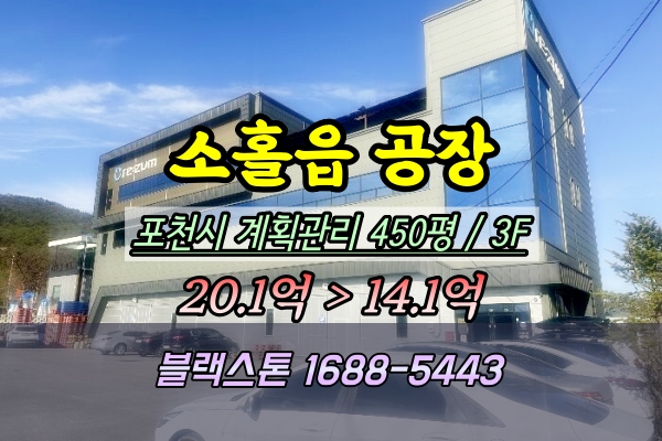  포천시 소홀읍공장 경매 이동교리 500평 2024타경89982
