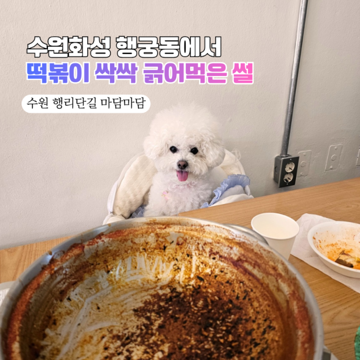  [수원화성 애견동반 식당] 마담마담 즉석떡볶이 행궁동점 주말 찐 웨이팅 후기(+볶음밥 필수)