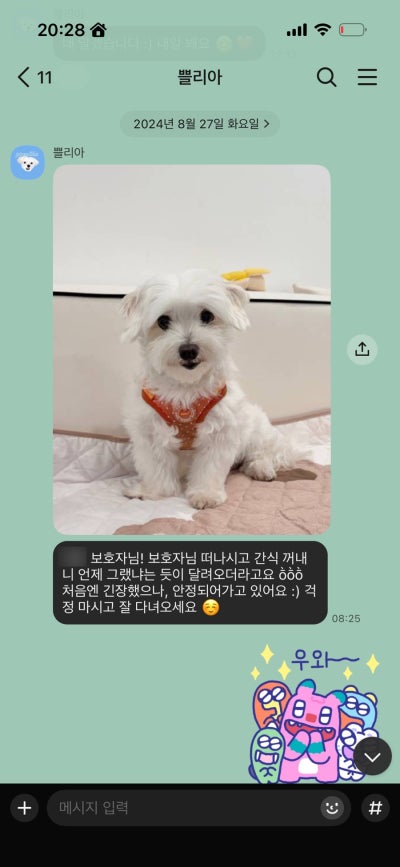 사진 3