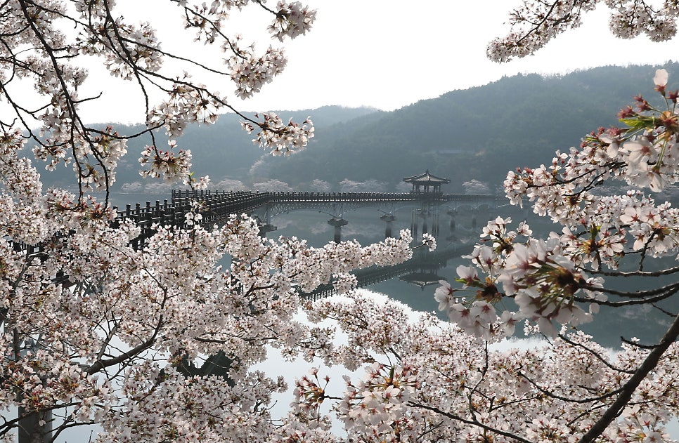 산숲가든 사진 4
