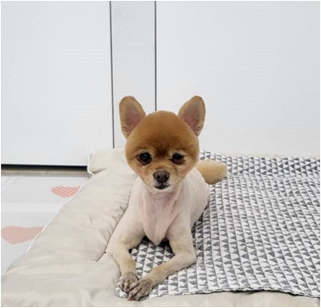 사진 6