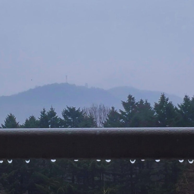  The Heart on a Rainy Day