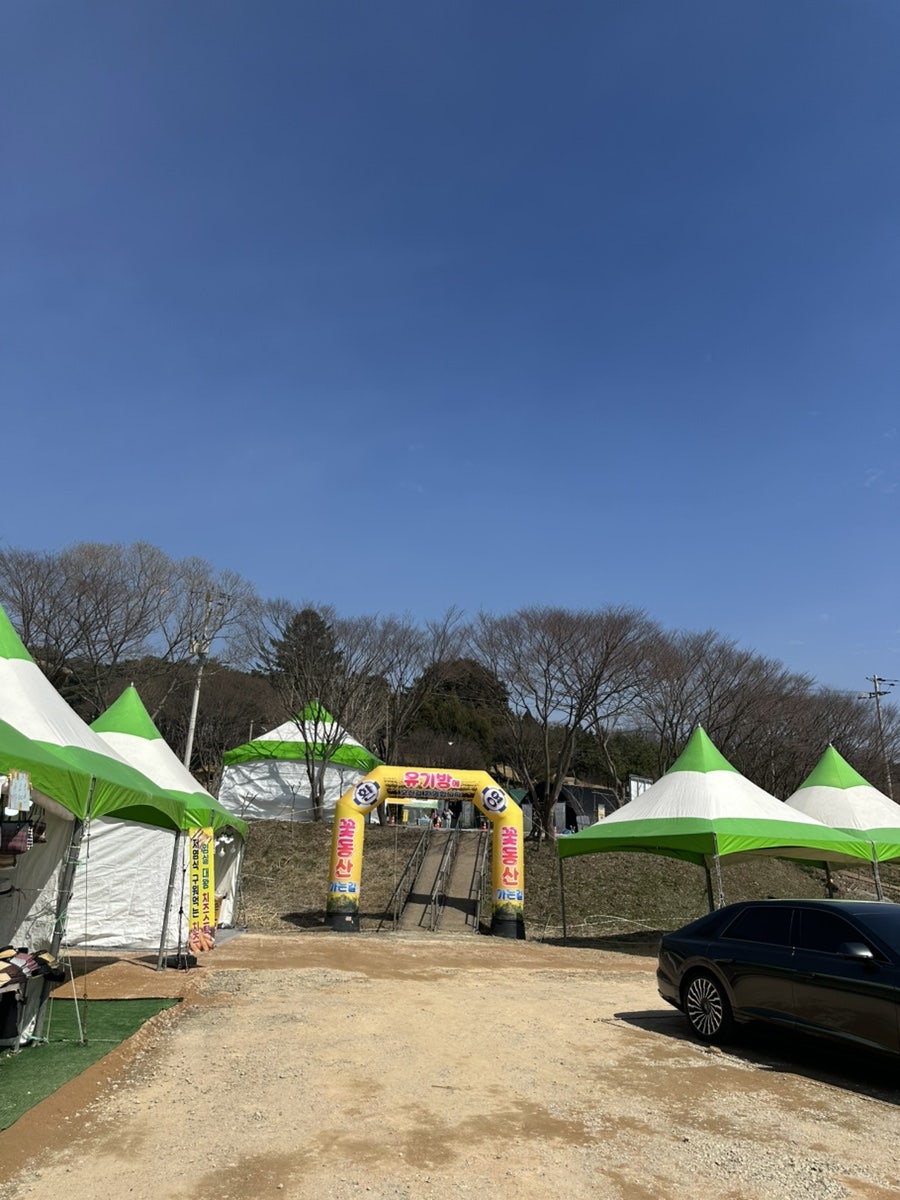 고향생각 사진 2