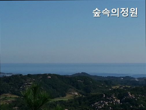 사진 3