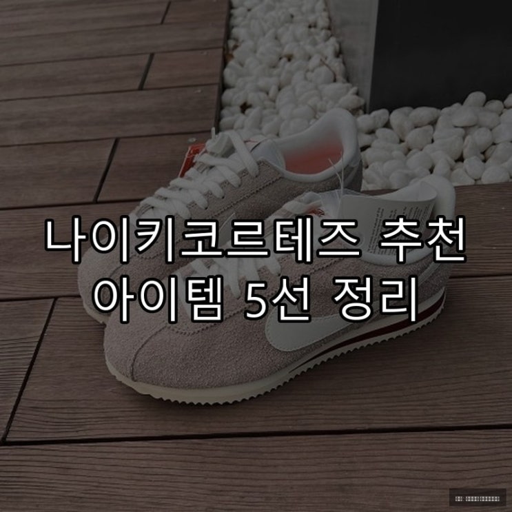  나이키코르테즈 추천 아이템 5선 정리