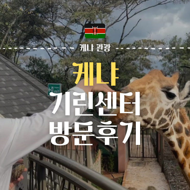  케냐 여행 나이로비 기린 센터, 지라프 센터(GIRAFFE CENTER) 방문 후기(feat. 지구 마블 세계여행 2) | 케냐 가볼만한곳