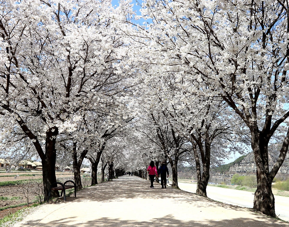 산숲가든 사진 6