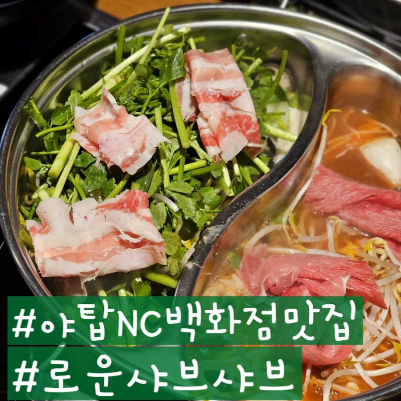 야탑역 맛집 봄 제철 야탑 미나리 무제한 샤브샤브 로운 샤브샤브 NC야탑점 예약 주차 정보