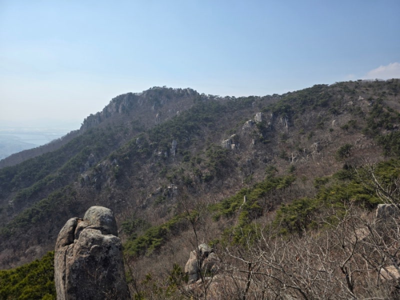 사진 8