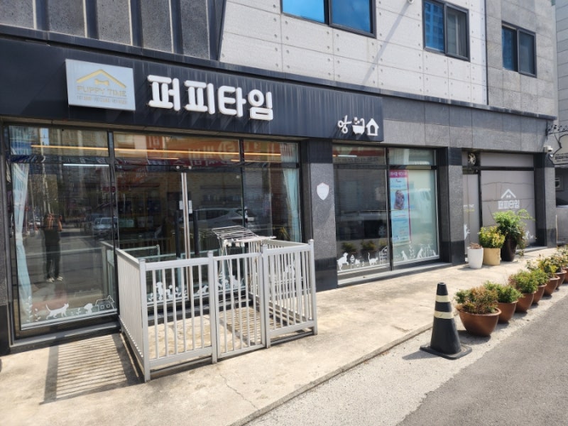 사진 4