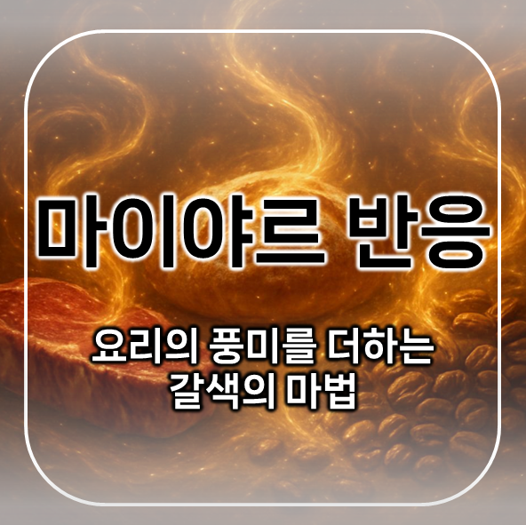 사진 6