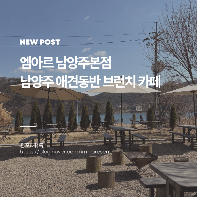 사진 2