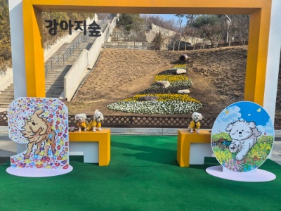 사진 3