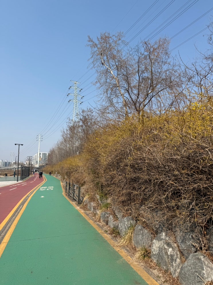  초보 러너의 78차 일지! (하프 마라톤 도전기 #1 : 컨디션 난조를 뚫고 내디딘 찬란한 첫걸음!)