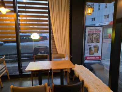 사진 9