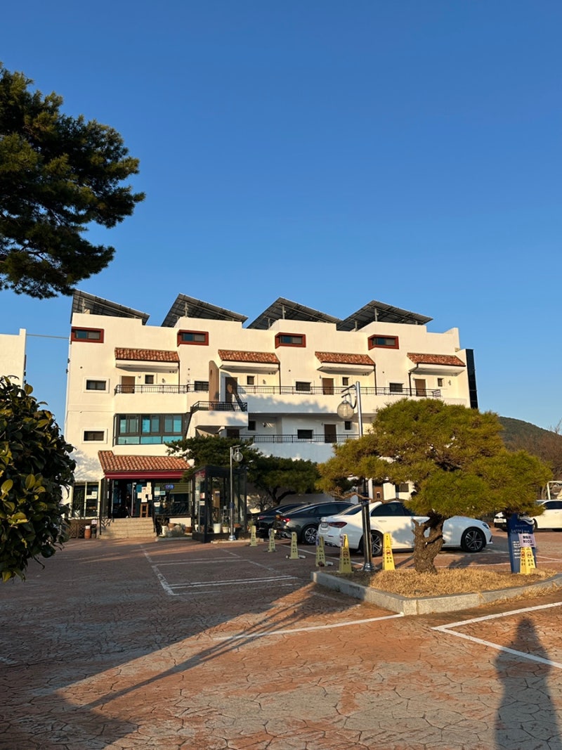 사진 2