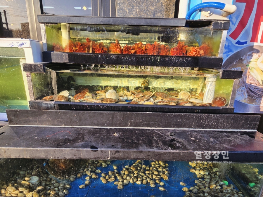 감성칼국수 맛있지아니한가 사진 3