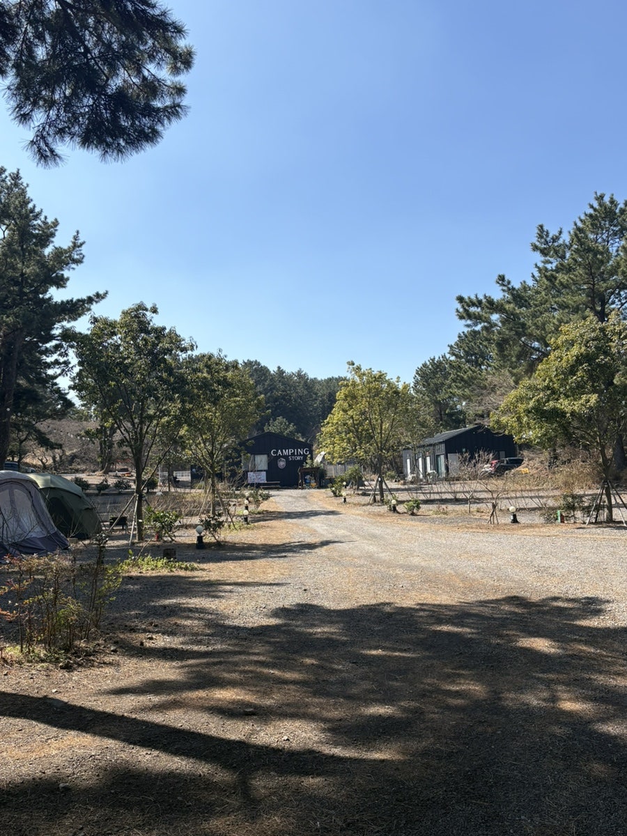 캠핑스토리 사진 5